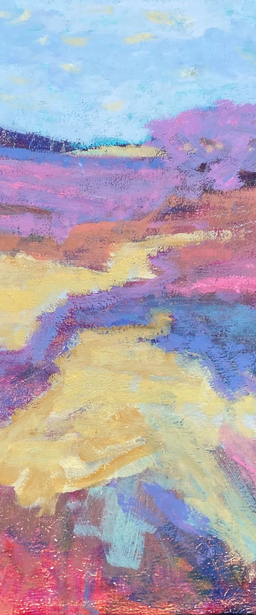 The Nature of Grasses by Chrissie Havers