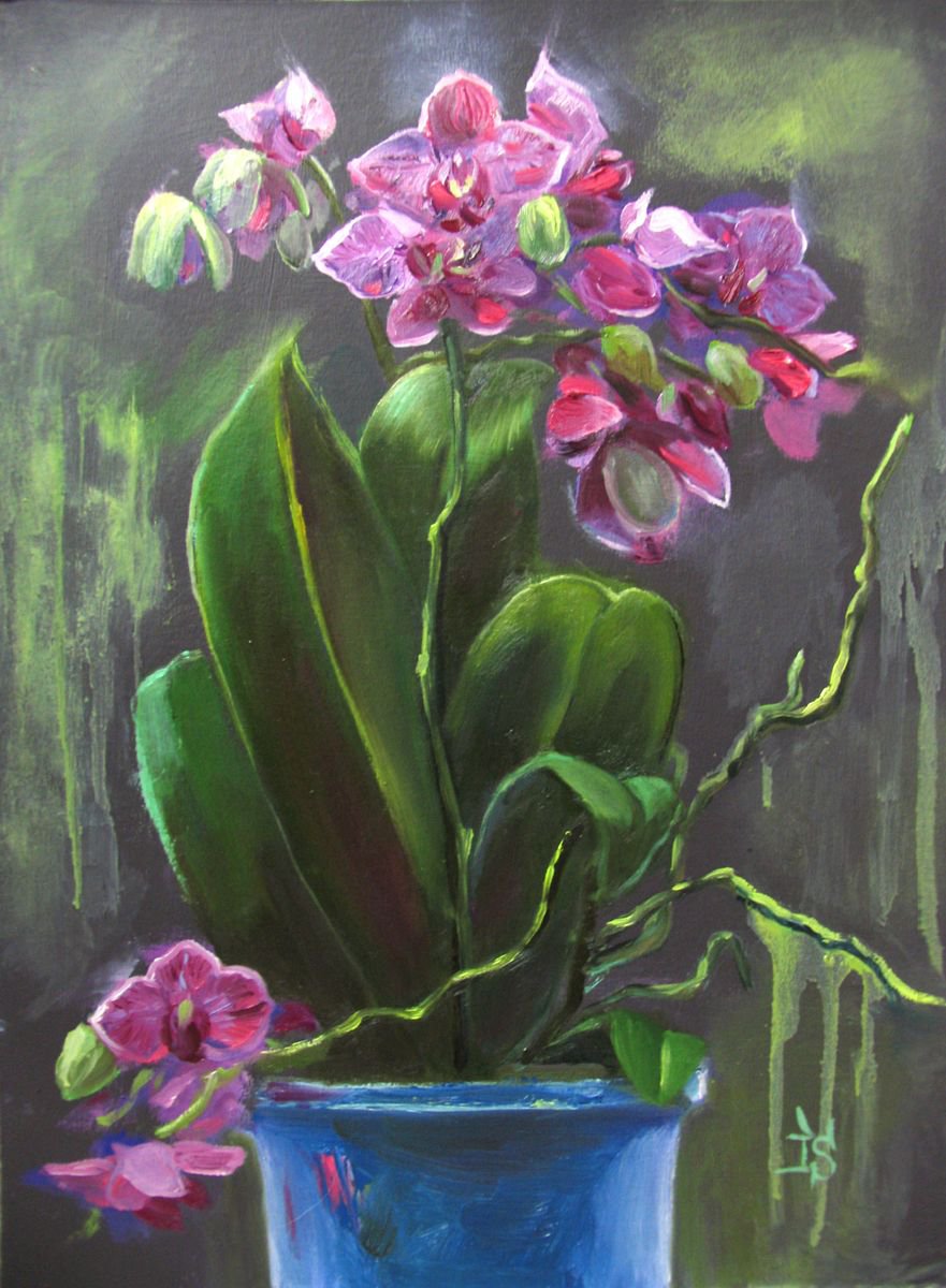 The Orchids by Irina Sergeyeva