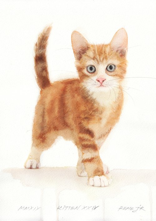 Kitten XXIV by REME Jr.