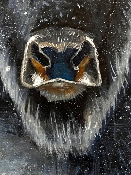 King of the Snow Plains