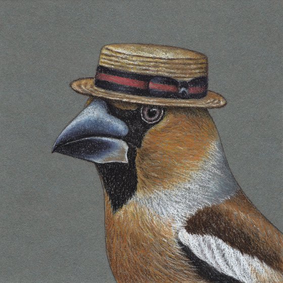 Original pastel drawing bird "Hawfinch"
