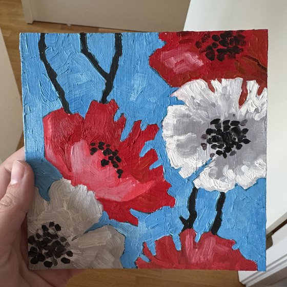 Poppy flowers