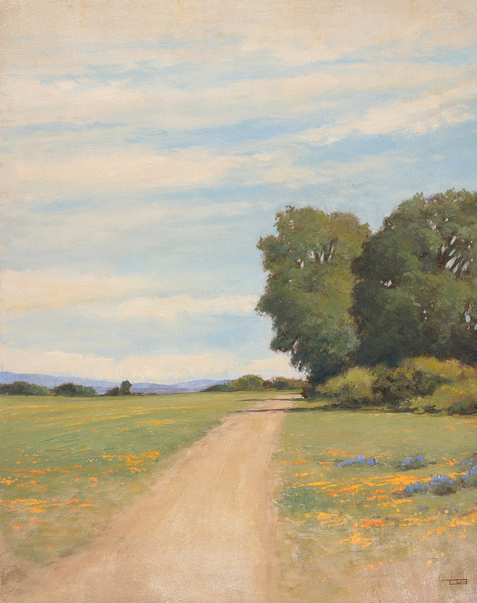 Impressionistic Landscape Oil Painting By Don Bishop, 16 X 20, Spring Wildflowers 240414, Original Artwork