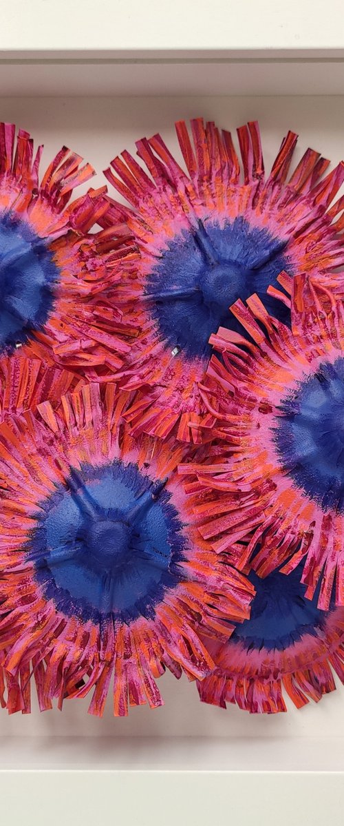 Zoanthids colony-7 by Swapna Namboodiri