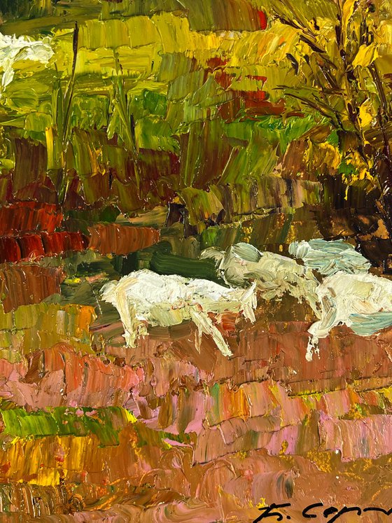 White Goats in the Meadows