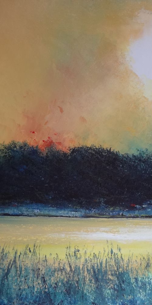 Aurora by Faith Patterson