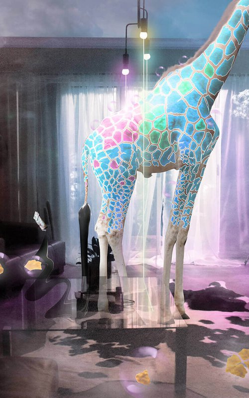 Indoor Giraffe by Vanessa Stefanova