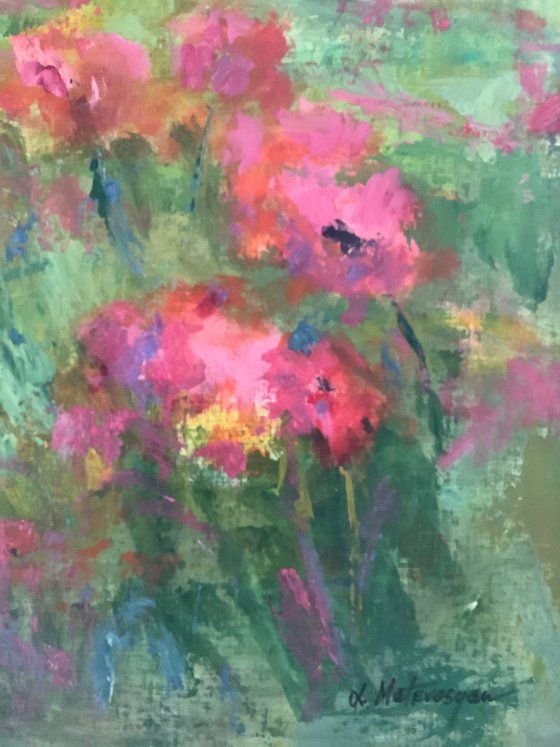 Poppies