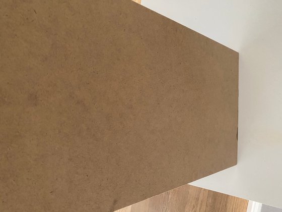 Still Life with Coral Roses