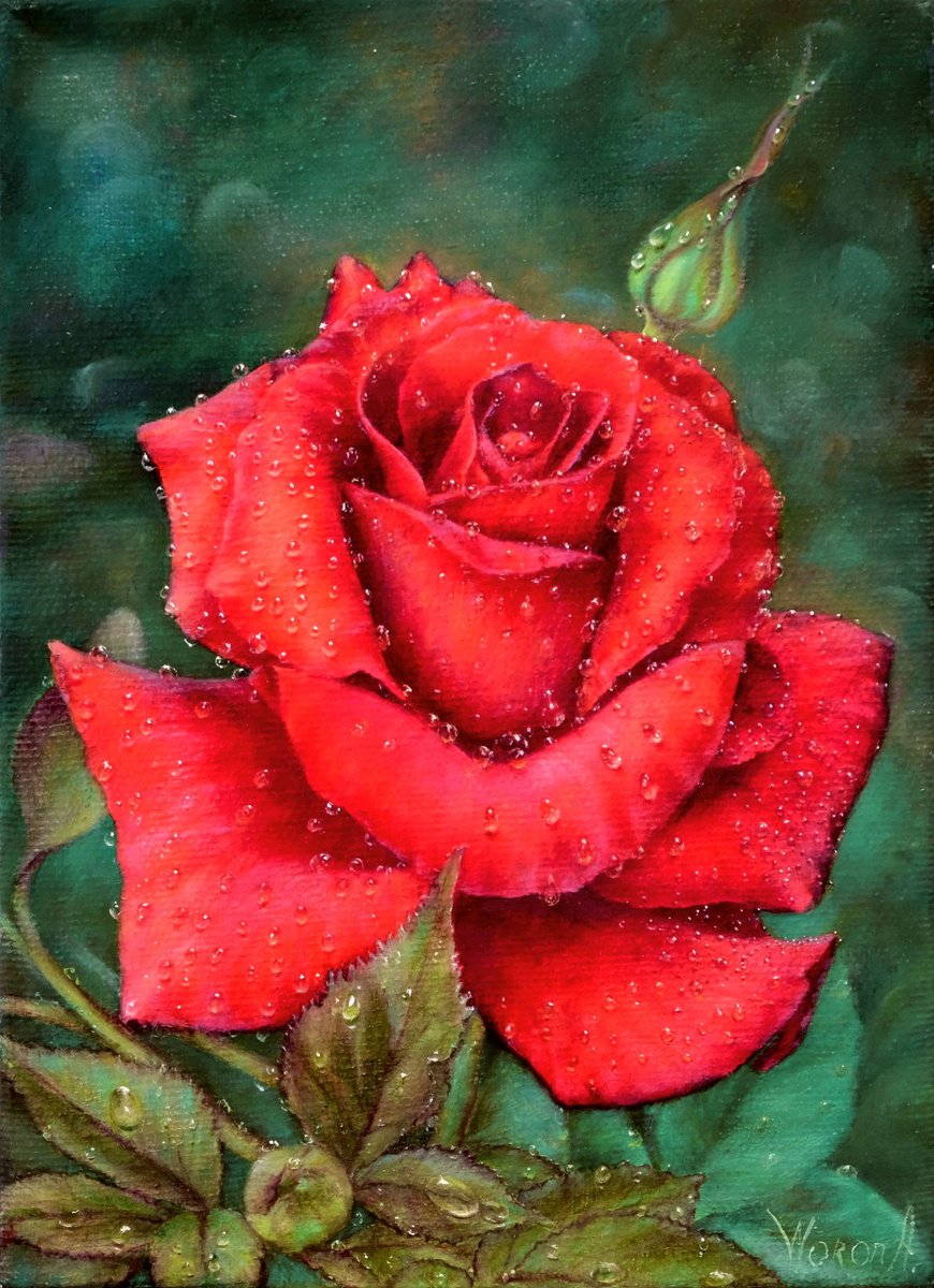 Photorealistic Botanical Oil Painting By Anastasia Woron, 6 X 9, Rose. Red Rose In Dew., Original Artwork