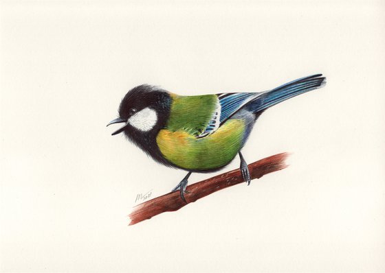 Green-backed tit