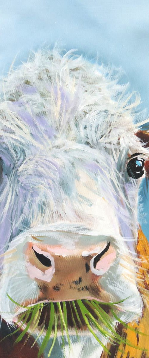 Cow by Gordon Bruce