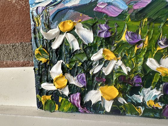 Daisies in the mountains