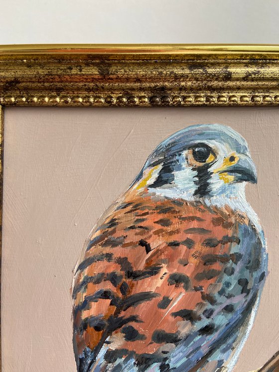 Bird Oil Painting American Kestrel framed 16x20cm 6x8inch