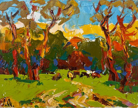 Summer evening in the forest