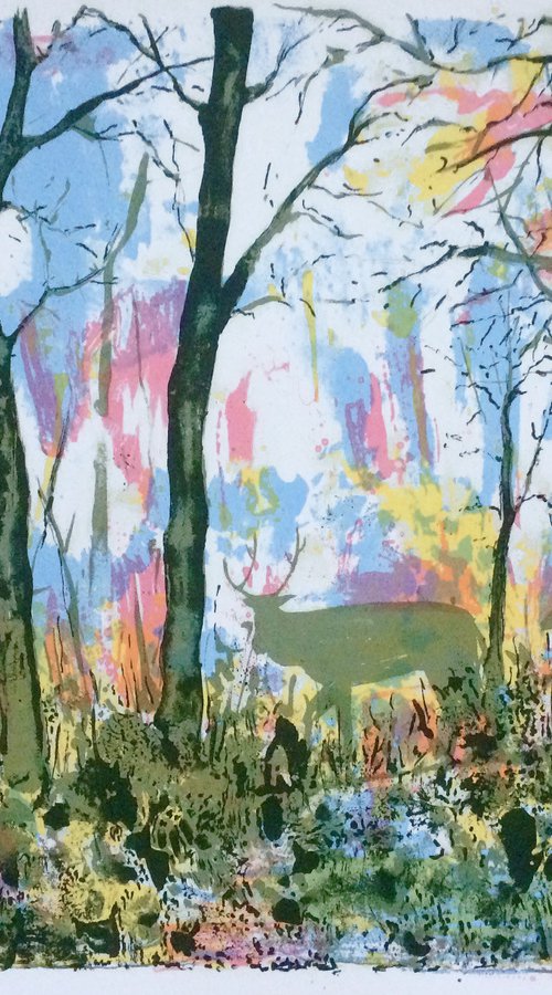 Woodland Scene by Tim Southall