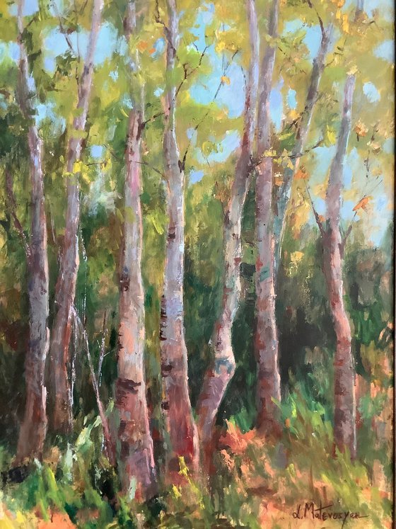 Trees