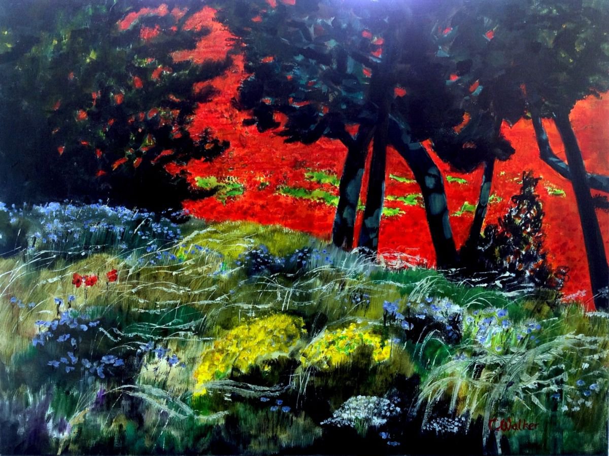 3,000,003 Coquelicots by Chris Walker