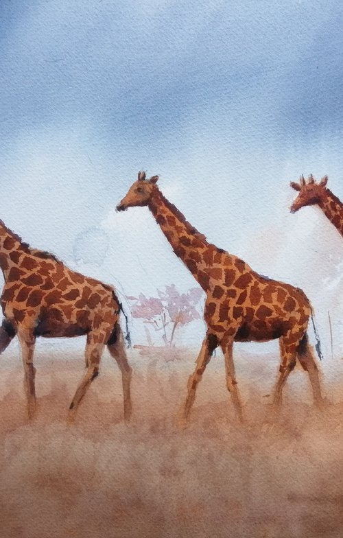 giraffes 6 by Giorgio Gosti