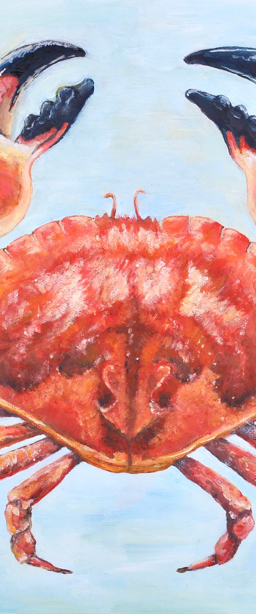 Crab by Laura Gompertz