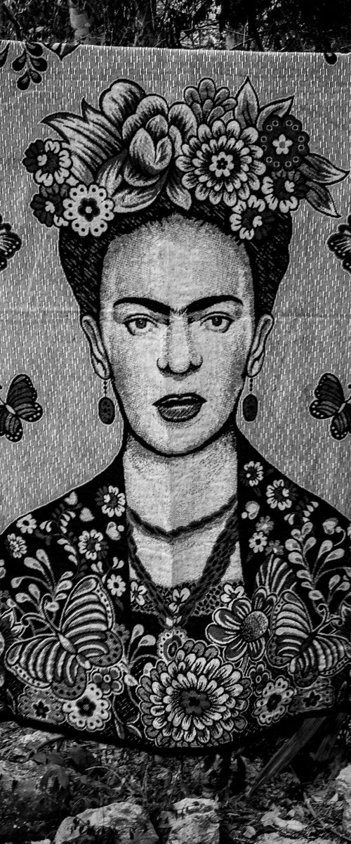 Frida Kahlo - Mexico by Stephen Hodgetts Photography