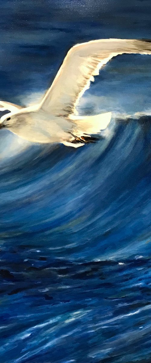 Seagull II by Fabian Bertona
