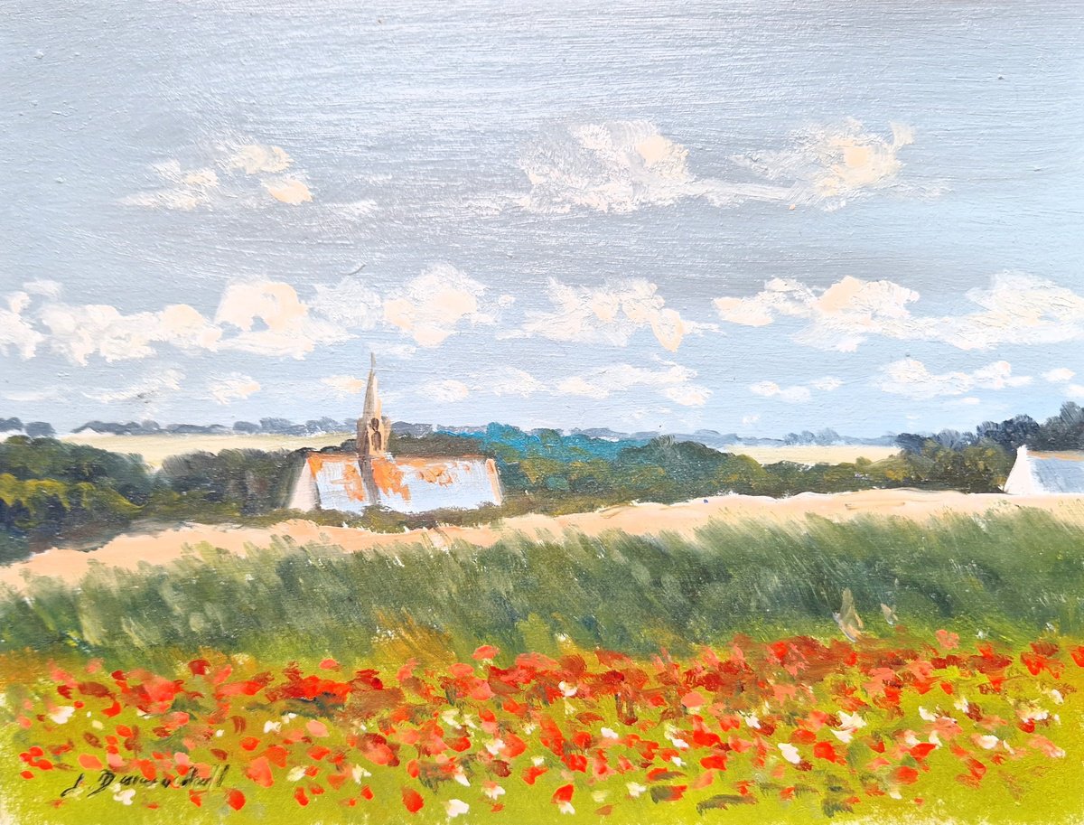 Field poppies at Saint Vio by Jose DAOUDAL