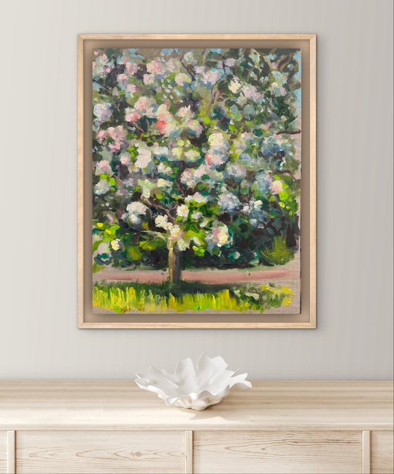 Apple orchard 4