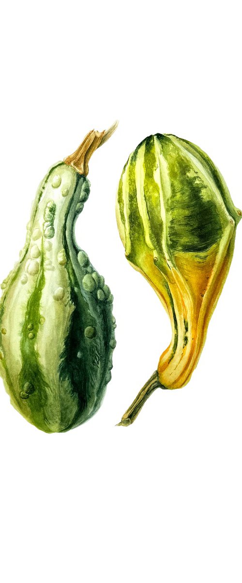 Two pumpkins Painting by Yuliia Prokopchuk