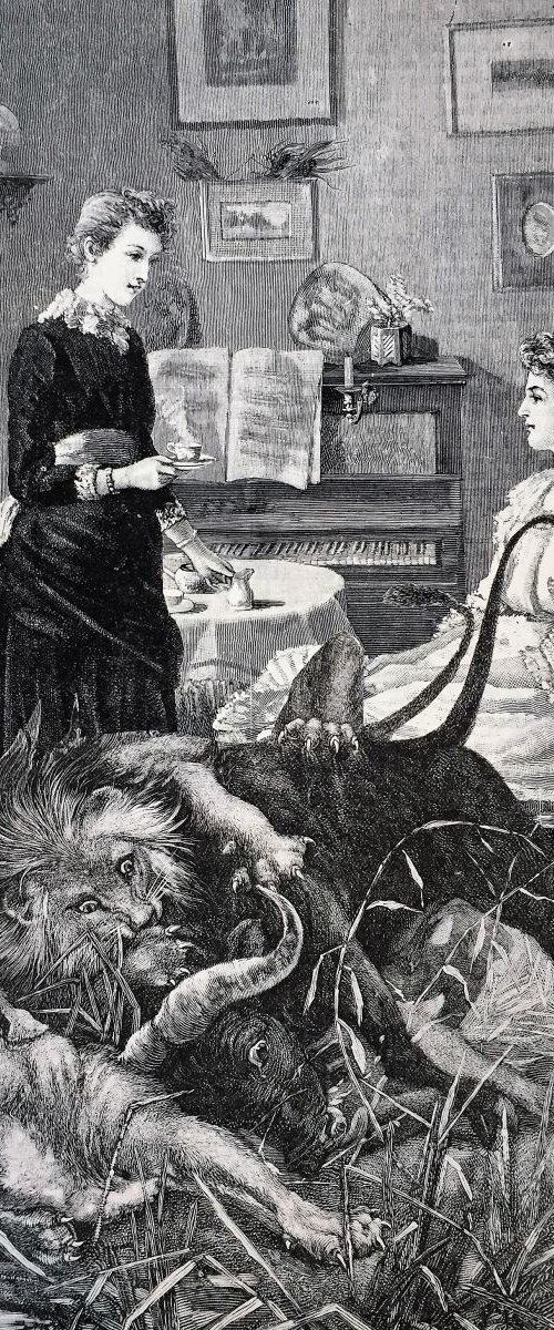 "Tea, Maud?" by Tudor Evans