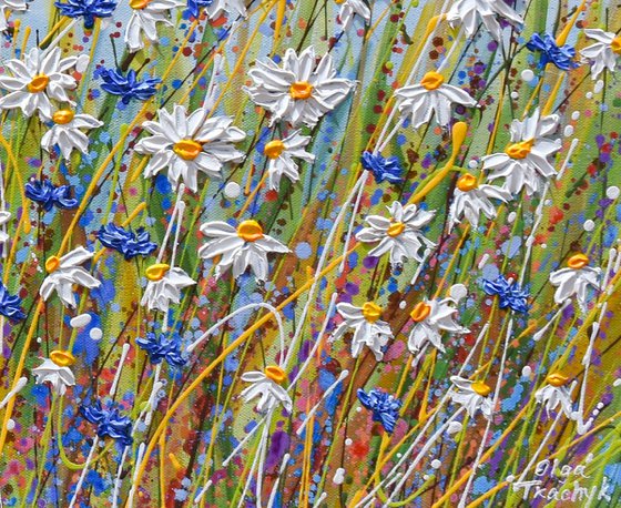 Cornflower Daisy Field