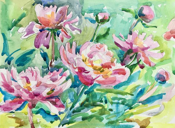 Paeonia lactiflora watercolor painting. Pink peonies in the garden.