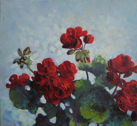 Geranium