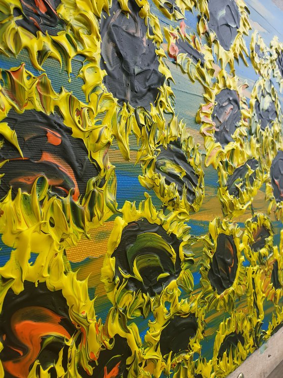 Blooming sunflowers 5