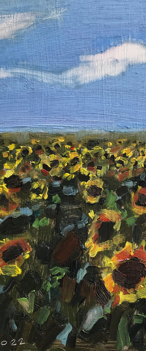 Sunflowers of Ukraine 2 by Michael Rak