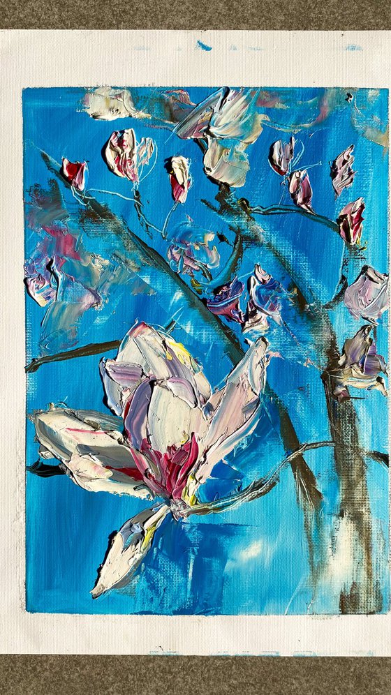 Magnolia Blossom Oil Study
