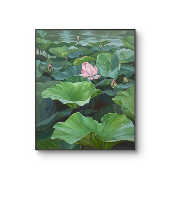 Lotuses landscape