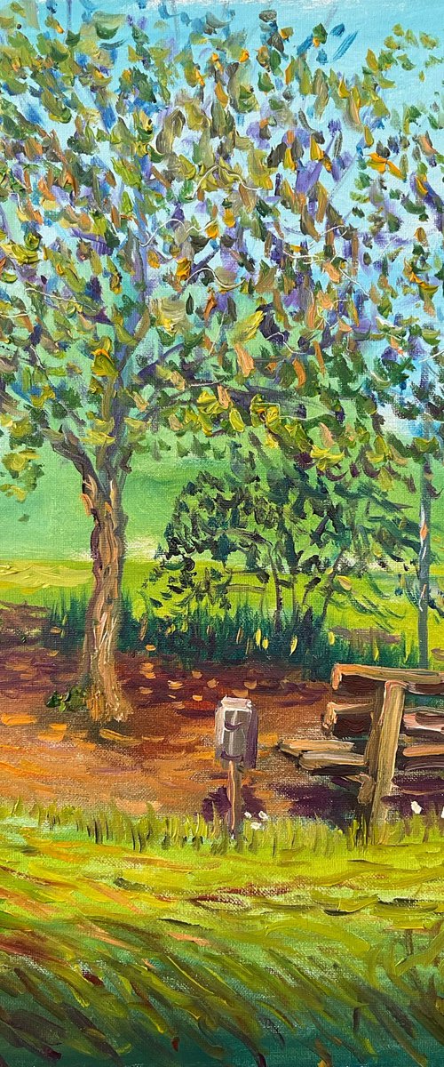 Bench under the tree by Dmitry Fedorov