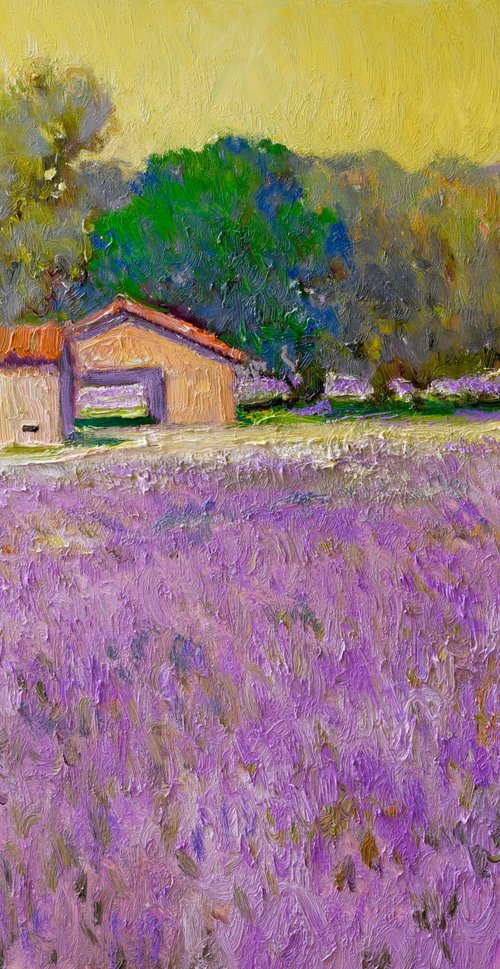 Lavender Field by Suren Nersisyan