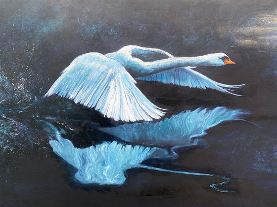 The Swan and the Flower Moon