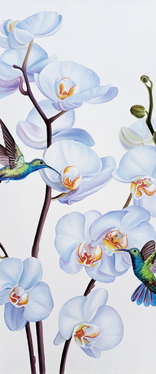 "Harmony", orchid and birds art by Anna Steshenko