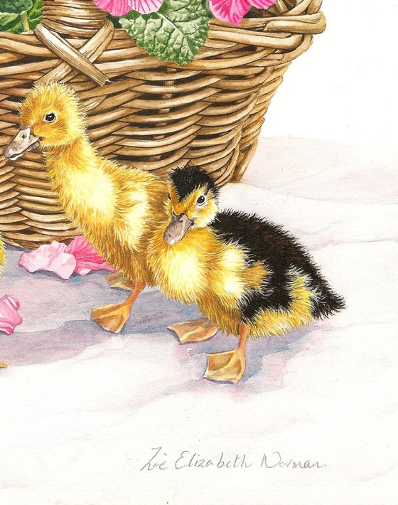 Ducklings and Primroses