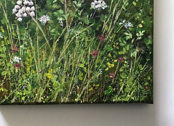 Devon Hedgerow