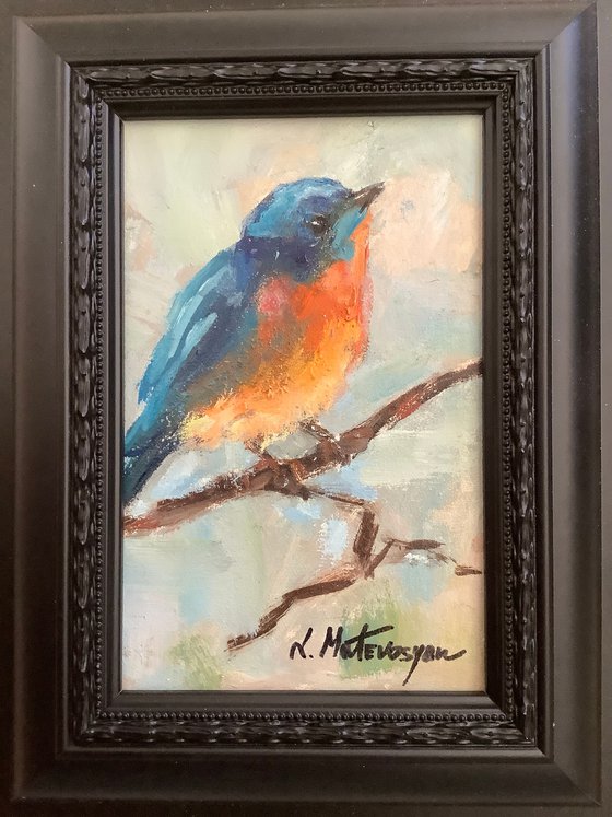Bluebird