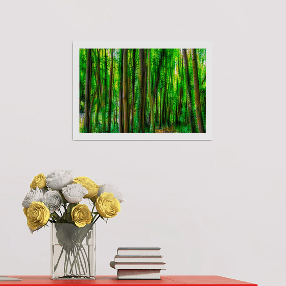 Abstract Forest 1. Limited Edition 1/50 15x10 inch Photographic Print