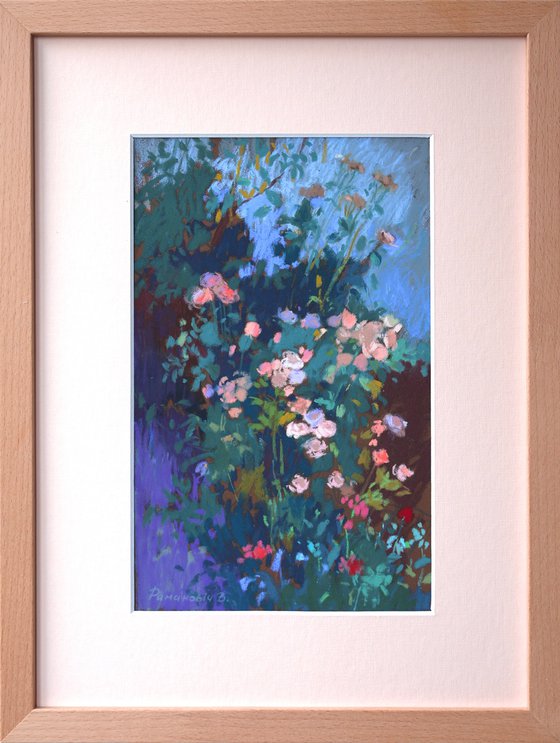 Roses in aragonese Pyrenees