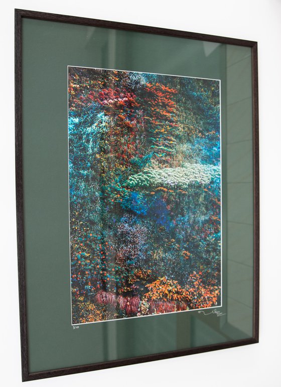 Wall of Nature V (Framed)