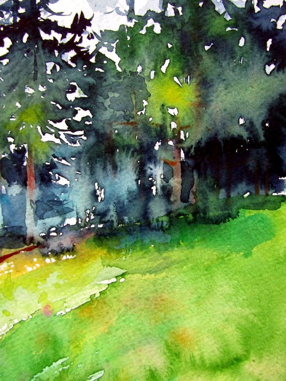 Forest with birds