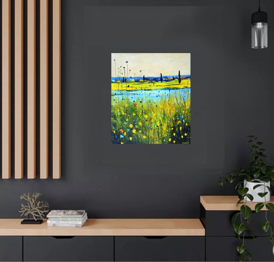 Colourful meadow 6726