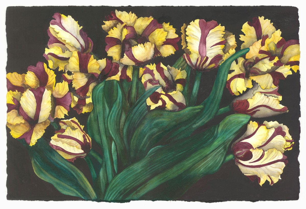 Surrealistic Botanical Watercolour By Mary Lyn Gough, 15 X 22", Sunday Best, Original Artwork